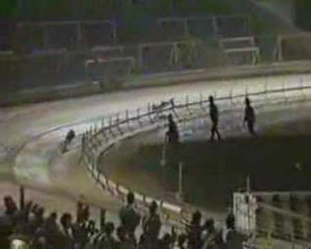 Scurlogue Champ vs Ballyregan Bob