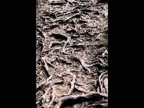 Puedo Inventar - Patxi Andion
