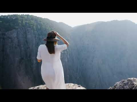 Neon Capital - The Walls