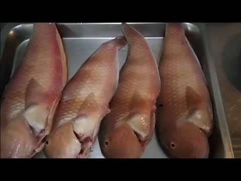 Fried salted Red mullet fish