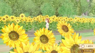 【マジカルクラフト】03:リリア役の声優がアストンマーチャン役の井上ほの花さんだったので、私服マーちゃん概念のドレスを作った初見プレイ深夜配信。 #マジカルクラフト #マジカルクラフト猫と魔法のドレス