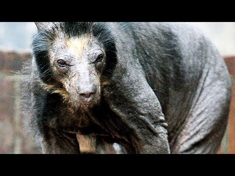 izomparaziták Róma Világ hogyan lehet a pinwormokat kezelni