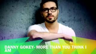 More Than You Think I Am - Danny Gokey (Audio)