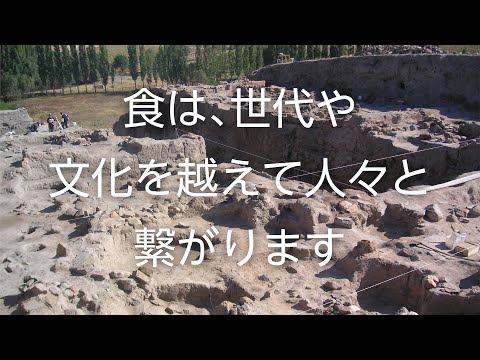 【山形大学】研究紹介2021：白石哲也（考古学/基盤共通教育担当）