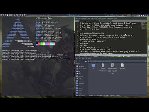 ArcoLinux : 578 How to analyze a pkgbuild gone wrong - vivaldi-widevine - option 1 & 2