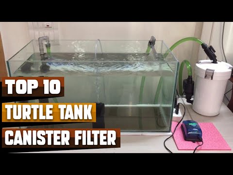 Best Canister Filter For Turtle Tank In 2026 - Top 10 Turtle Tank Canister Filters Review
