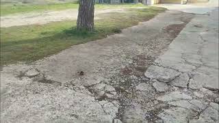 l-appello-di-un-abitante-da-contrada-tesoro-ad-ariano-irpino