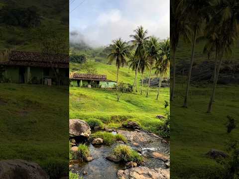 Sítio Tamanduá, Maribondo-AL