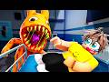 Roblox ANIMAL HOSPITAL