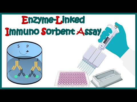 ELISA | Enzyme linked immonosorbent assay | ELISA test | Types of ELISA | Direct and Indirect ELISA