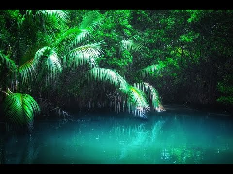 LIBERAR STRESS 4.5Hz➤MÚSICA P/REDUZIR STRESS| LIMPEZA, EQUILÍBRIO, CURA- ELIMINAR EMOÇÕES NEGATIVAS