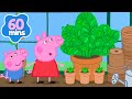 Peppa Pig Learns About Greenhouses Story For Kids Kids Cartoons Peppa Pig Videos