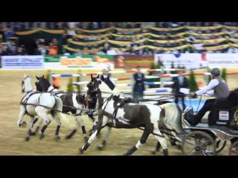 OTP Lovas Világkupa 2011  -kishuszár szemszögéből