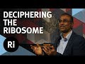 The Story of Deciphering the Ribosome - with Venki Ramakrishnan