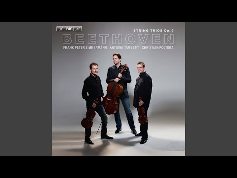 String Trio in G Major, Op. 9 No. 1: IV. Presto