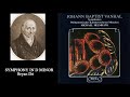 Jan Křtitel Vaňhal (Wanhal): Symphony in D Minor, Bryan d2, Michael Helmrath (conductor)