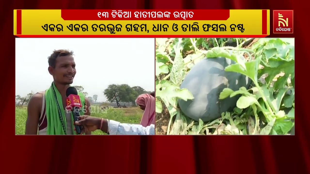 ବୌଦ୍ଧ ଜିଲ୍ଲା ସଦର ରେଞ୍ଜ ଖୁଣ୍ଟବନ୍ଦ ପଞ୍ଚୟତ ଗୋବିନ୍ଦପୁର ?