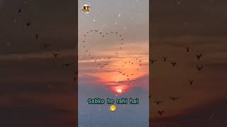 Download lagu Do dil mil rahe hain 💞💞 #trendingshorts #whatsappstatus #lovesong #viralshorts mp3 Download lagu Do dil mil rahe hain 💞💞 #trendingshorts #whatsappstatus #lovesong #viralshorts mp3