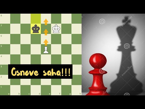 Sahovska zavrsnica - Osnovno - Kralji pesak protiv kralja