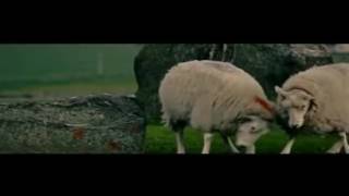 صورة إلى كل إنسان يخجل من شكله | ياسر الحزيمي