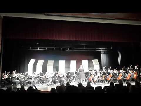 Highlights from Harry Potter - John Williams/ arr. Michael Story