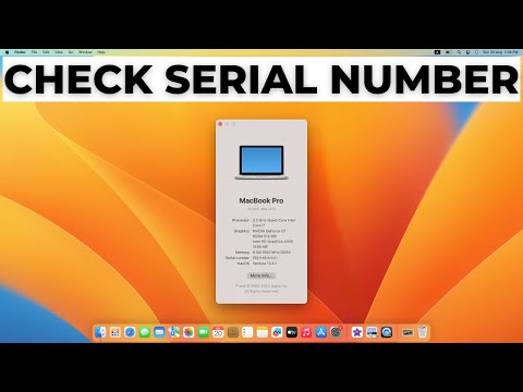 How to Copy and Paste on MacBook