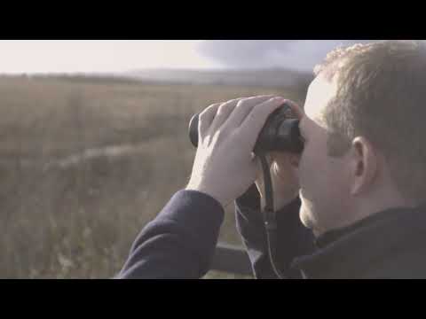 Ospreys at Foulshaw Moss Nature Reserve