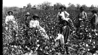 Homesick James Farmer's Blues (1952)