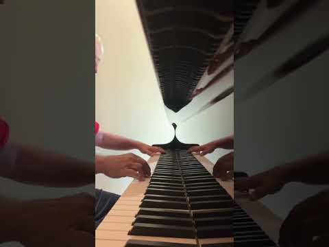 Premium Bechstein A180 Grand Piano image 12