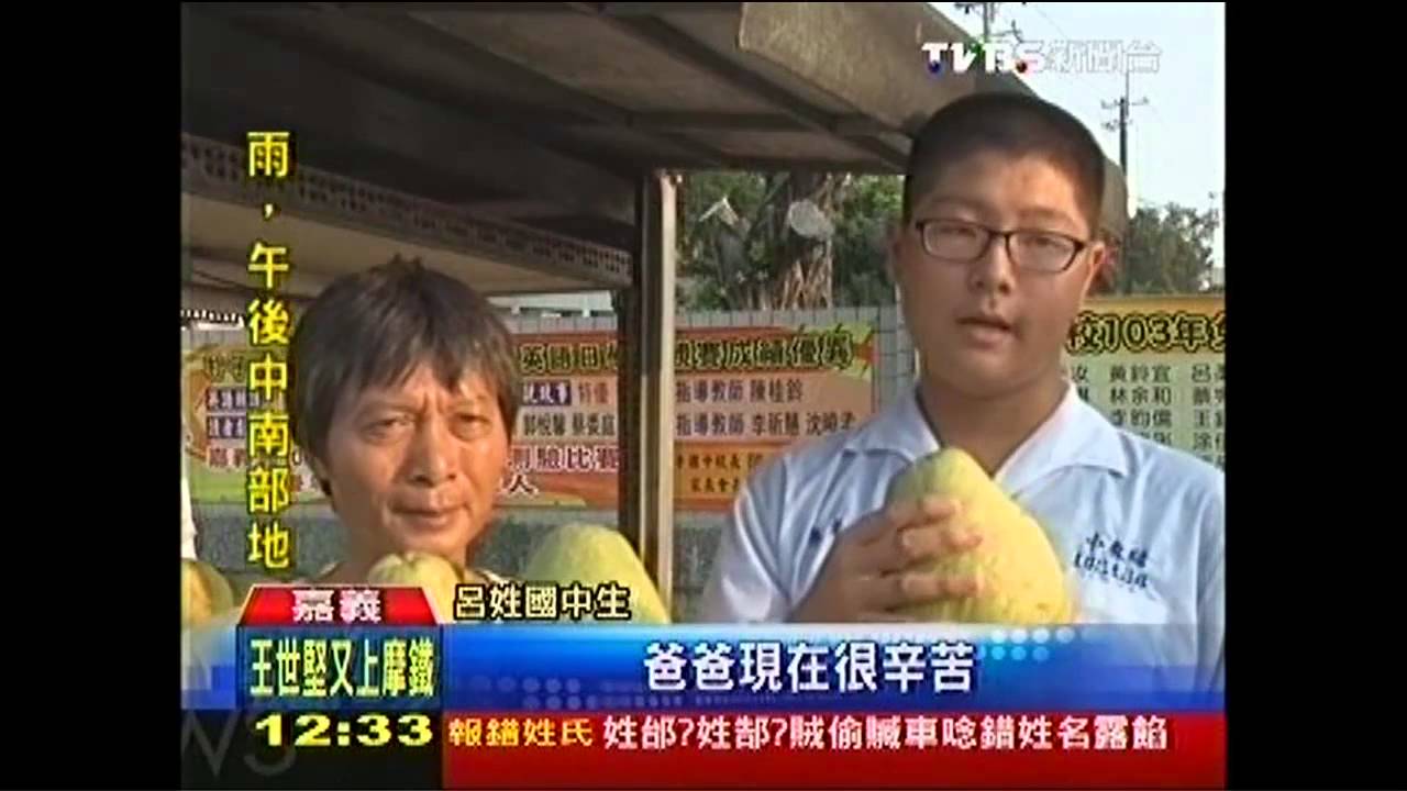 替母籌醫藥費　國一生伴父叫賣柚子