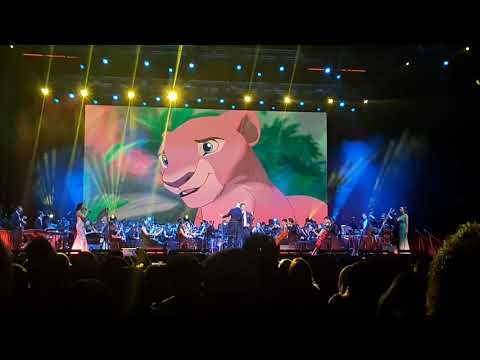 Lisbon Film Orchestra e David Ripado + Ana Margarida + Patricia Duarte- Ciclo sem fim