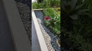 Download lagu pembuatan taman kering di lahan sempit#taman#landscape#tukangtamantangerang#tamankering#hiasantaman mp3