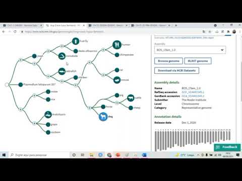 Bioinfonow - Aula 4 - NCBI Genome e NCBI Genome Data Viewer