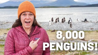 USHUAIA PENGUINS + END OF THE WORLD TRAIN // ARGENTINA TRAVEL VLOG