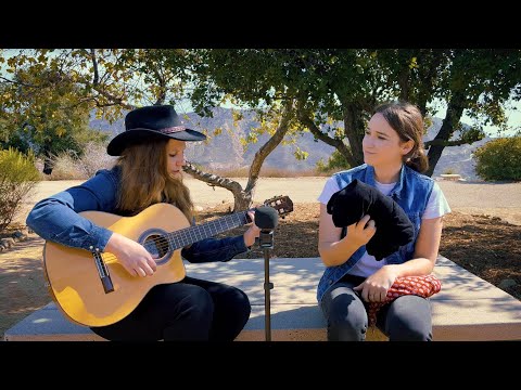 Tiptoe Through the Tulips - Tiny Tim / Nick Lucas cover