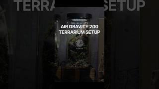 エアグラビティ200でテラリウム制作 #terrarium #shorts