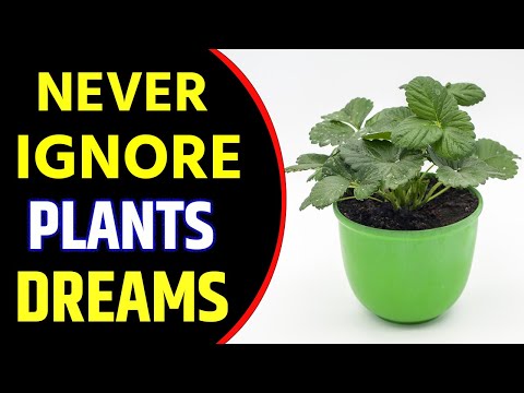 What Does Plants Dream Meaning | Dreaming of Plants | Growing Plants in Dream Interpretation