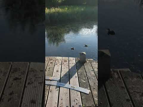 Sint Annaparochie Netherlands 🇳🇱