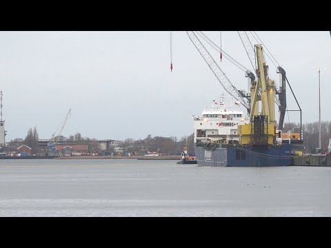 Liebherr cranes collapse into Rostock harbor basin