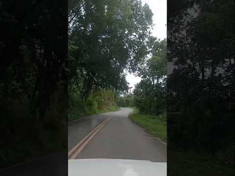 Subindo a serra de Passa Vinte MG para Carlos Euler.