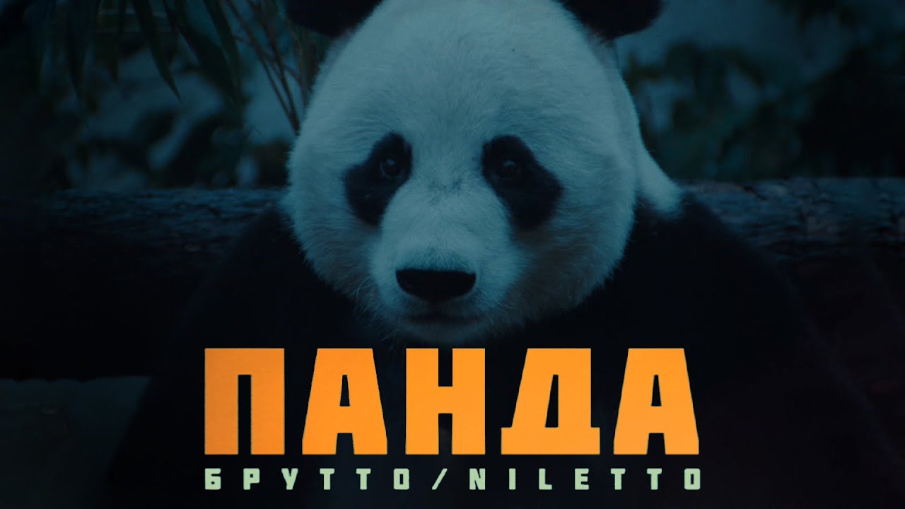 Брутто, Niletto — Панда