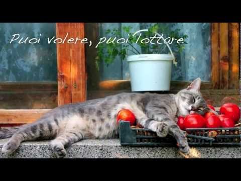 Si può fare - Angelo Branduardi | Testo / Lyrics