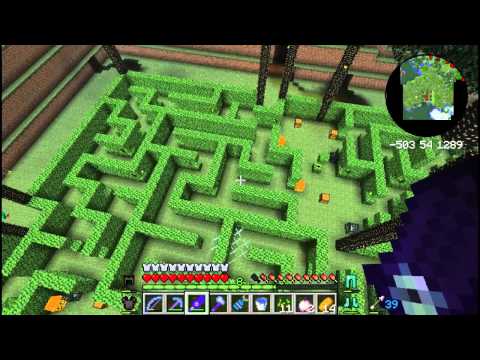 Hexxit osa 11 - Twilight forestiin