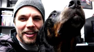 Unboxing Avec Mon Chien 