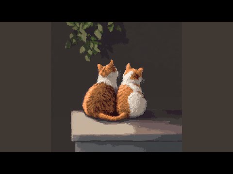 The Reason Why I Like You