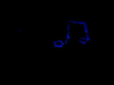 AJ KEBY NEKVITOL FÍK