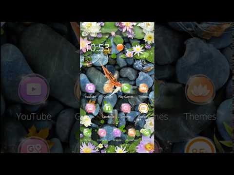 Koi Fish Aquarium 3D Theme Video