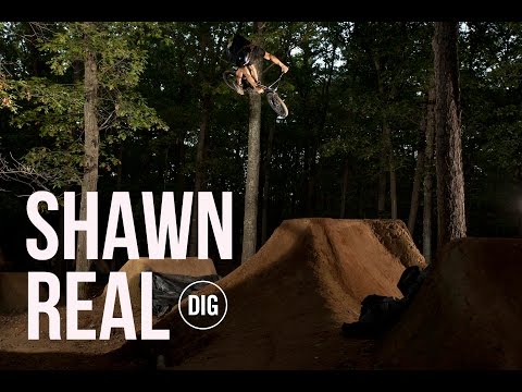 Shawn Real - Low Profile - DIG BMX