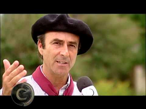 I want to start breeding Crioulo horses. What should I do?