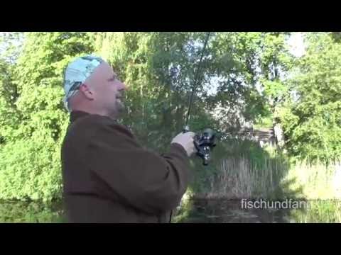 Matze Koch Carp: Hotspots in Transition - Matze's Antics 07-2014